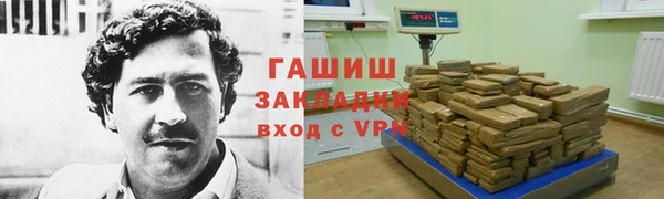 гидра Покачи
