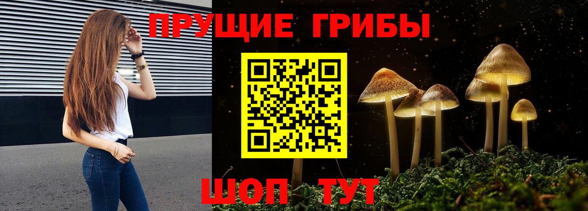 Галлюциногенные грибы Cubensis  Вход с VPN  Псилоцибиновые грибы прущие грибы  где продают наркотики  Советский 